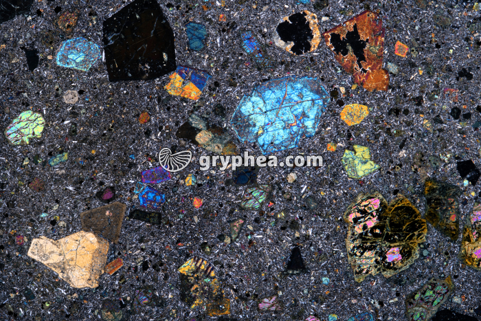 Basalte à olivine (408) LPA x1,5 - gryphea.org